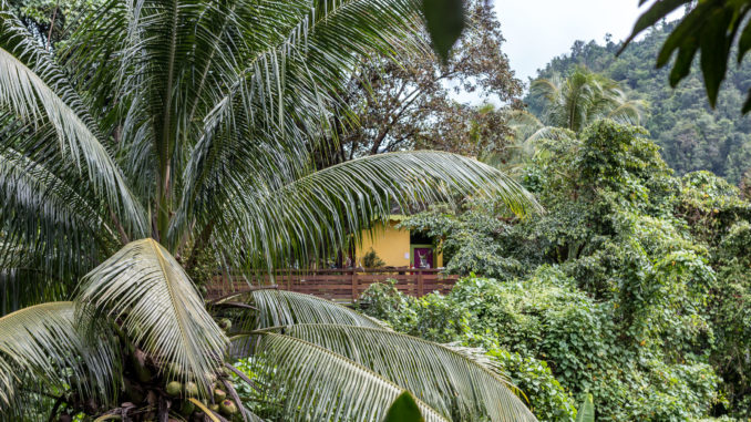 Das Maison Rousse liegt versteckt im Dschungel Martiniques
