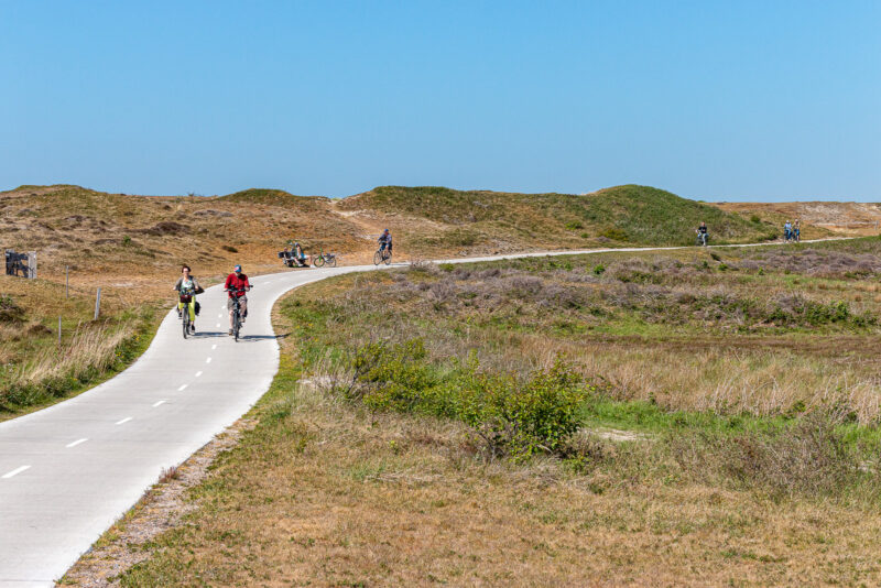Neu gestalteter Radweg auf dem Zanddijk